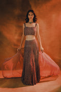Twilight Muse A Plum-Toned Lehenga Set
